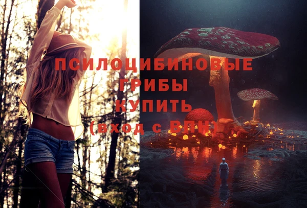 каннабис Дмитриев