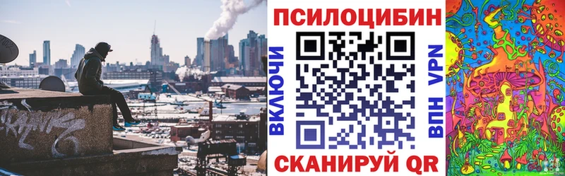 Псилоцибиновые грибы Magic Shrooms  Минусинск 